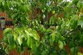 1024-f20-1-25secISO160.jpg