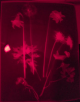1588961533443.png