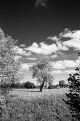 2020-05-07-WashiZ-R3M-08.jpg