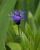 May 06 (1 of 1)-19.jpg
