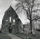img220-copy-tp.jpg