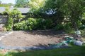 1 the site DSC02563.JPG