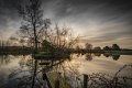Duck Pond B (1 of 1).jpg