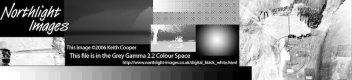 Northlight BW test strip neg 1.jpg Northlight BW test strip neg 1.jpg