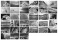 ContactSheet.jpg
