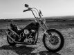 Panhead 001 BW-1003174 PS Adj upload.jpg