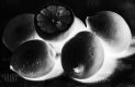 Untitled-4 copy.jpg
