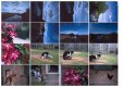2020-05-30-provia100-645n.jpg 2020-05-30-provia100-645n.jpg