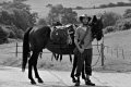 CB1309PMXA28 Horseman pos.jpg CB1309PMXA28 Horseman pos.jpg