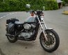 Sportster's Back-1003183 PS Adj upload.jpg