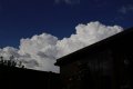 _DSC3703.JPG _DSC3703.JPG