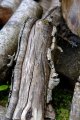 DSCF8207.JPG