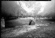 img325-copy-tp.jpg img325-copy-tp.jpg