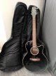 Takamine G series.jpg Takamine G series.jpg