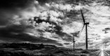 Wind Farm B&W.jpg