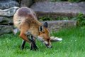 RJB_4058_DxO.jpg