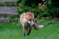 RJB_4066_DxO.jpg
