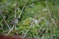 DSC_0954.jpg DSC_0954.jpg