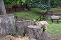 DSC_0933.jpg DSC_0933.jpg