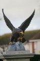 Eagle statue Sidmouth 5D IMG_2782.JPG