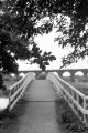 2020-06-16-acros2-eos3-17.jpg