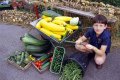 BOB_VEG_JPEG5.jpg