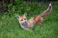 small_0926.jpg small_0926.jpg
