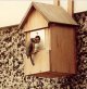 bird1.jpg