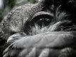 A464093C-D851-4DA2-8A08-61B681E5A692.jpeg