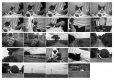 2020-0724-hp5plus-eos30.jpg