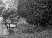 darleypark 24jul bench vsn2 tf.jpg darleypark 24jul bench vsn2 tf.jpg