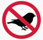 No Birds.png