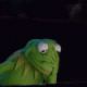 Kermit_Facepalm.gif