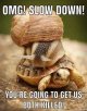 slow.jpg