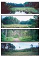 2020-08-13-provia100-tomiyama.jpg