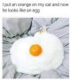 B5BB5CDA-99FD-453E-BB58-0853F57BFDB4.jpeg