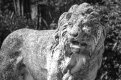 stone lion-1.jpg