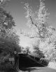 Roller IR400 Test w Kood IR720.jpg