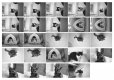 2020-09-30-hp5plus-eos30.jpg