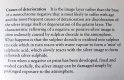 20201010_144951-tp.jpg