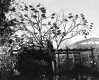 2019-11-13-0028-copy-tp.jpg