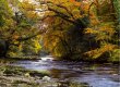 Woodsy's autumnal river scene.jpg