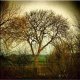 ImageUploadedByTalk Photography Forums1421782369.644056.jpg