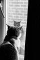 2020-11-07-hp5plus1600-ddx-canon1v-15.jpg 2020-11-07-hp5plus1600-ddx-canon1v-15.jpg