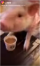 bacoffee.png