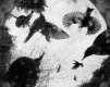 starlings.JPG