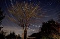 Startrail edited.jpg Startrail edited.jpg