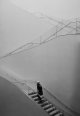828003 034-Edit-Edit.JPG