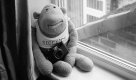 2020-11-07-hp5plus800-35rc-silver-ddx-20.jpg