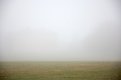 DSC_8155.jpg
